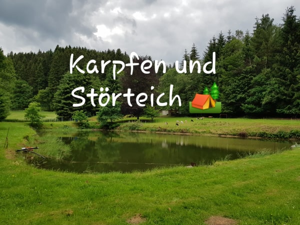 TEICHE UND PREISE Angelparadiessteinbachtal